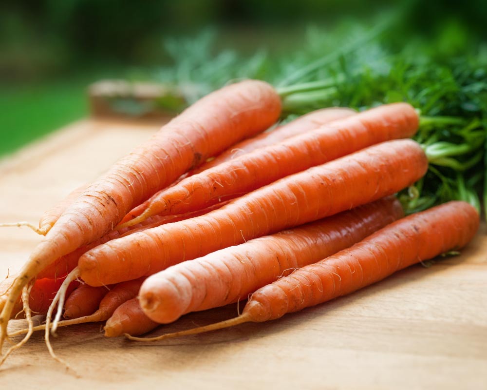 pile of dental friendly carrots on a cutting board